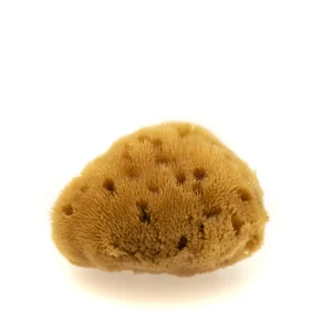 Esponja Natural